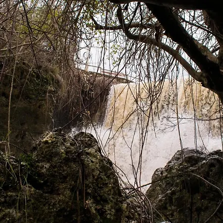 Dolores Cuevas del Becerro